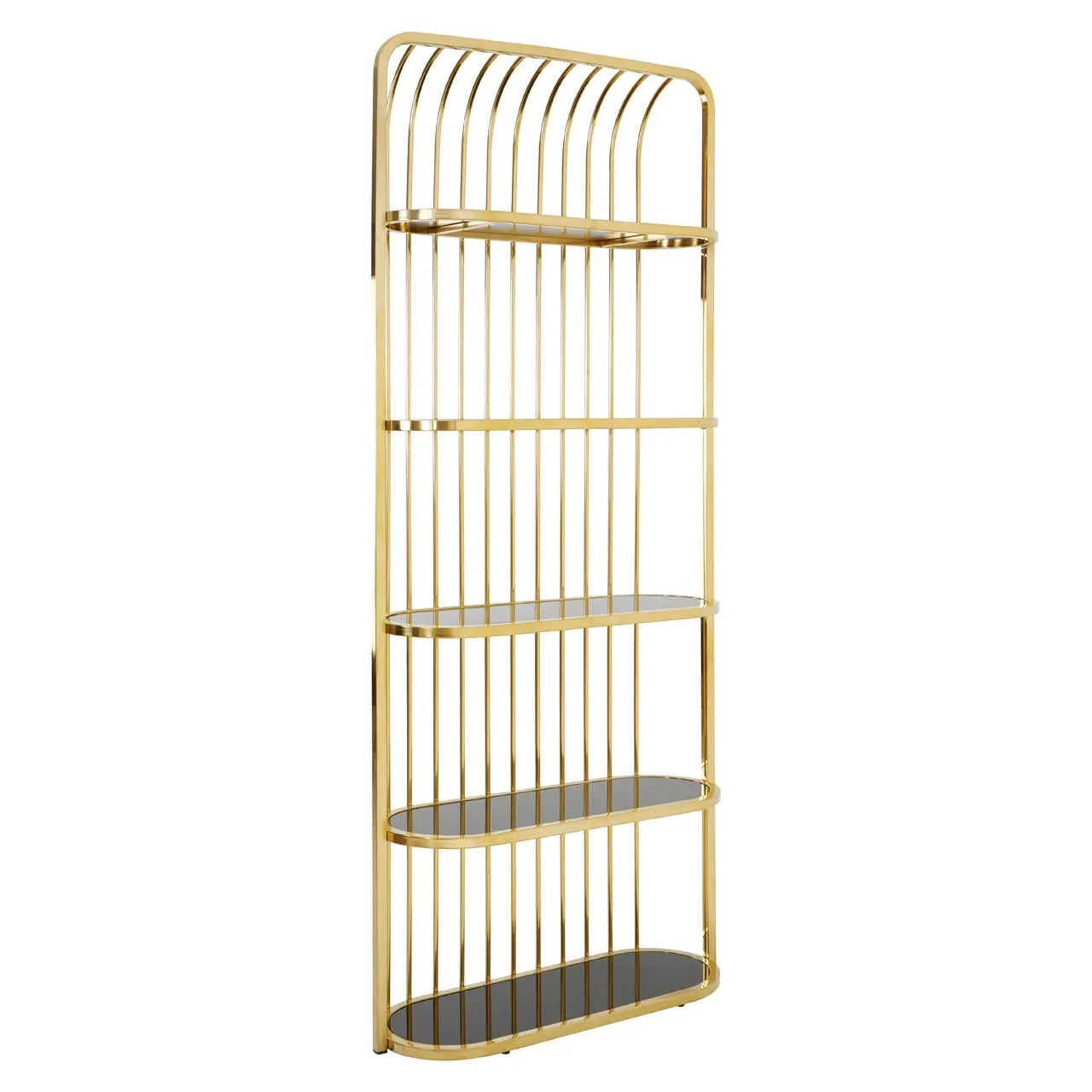 Horizon Gold Finish Cage Design Bookshelf