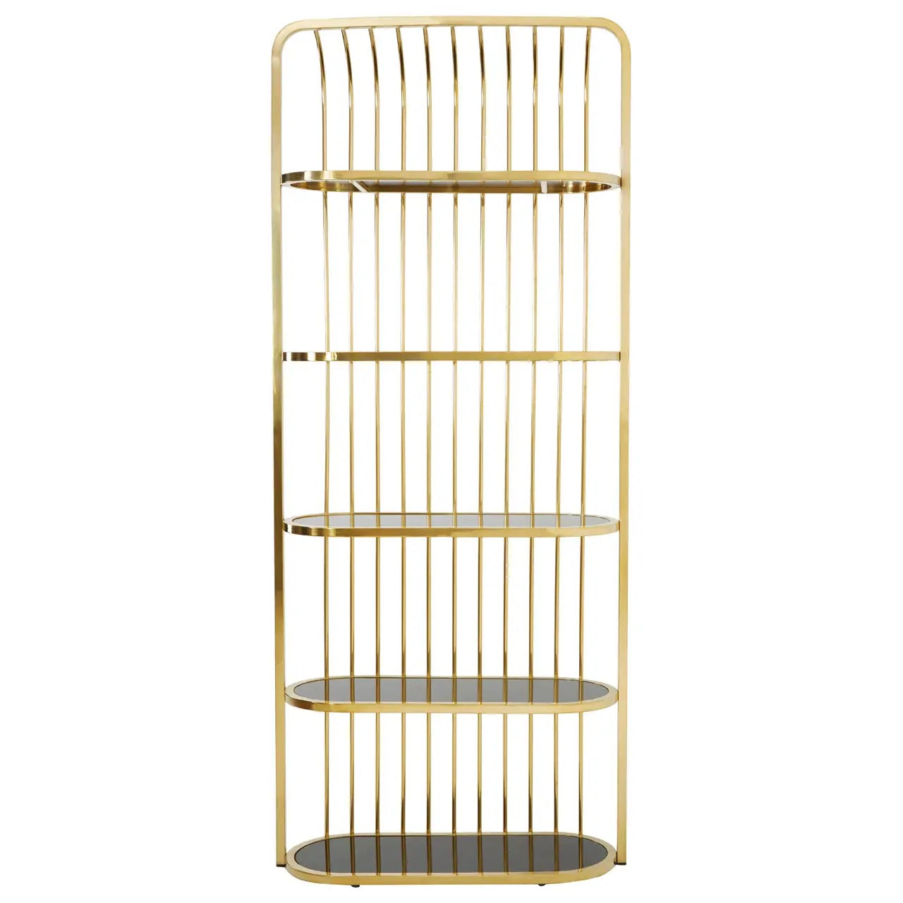 Horizon Gold Finish Cage Design Bookshelf