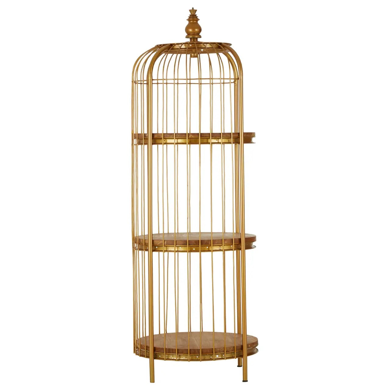 Mantis Medium Gold Finish Birdcage Shelf Unit