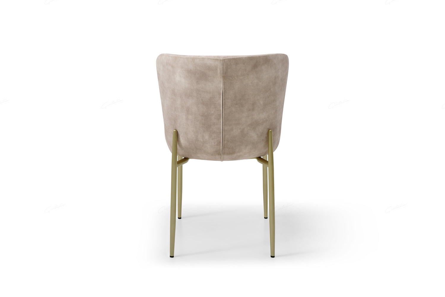 Pietra Champagne Modern Chairs