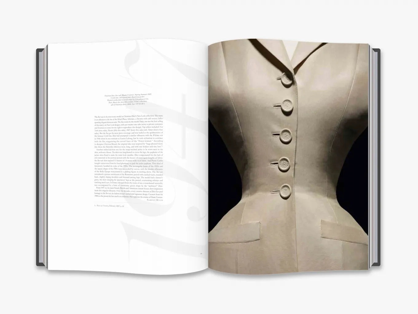 THAMES & HUDSON Christian Dior Designer of Dreams