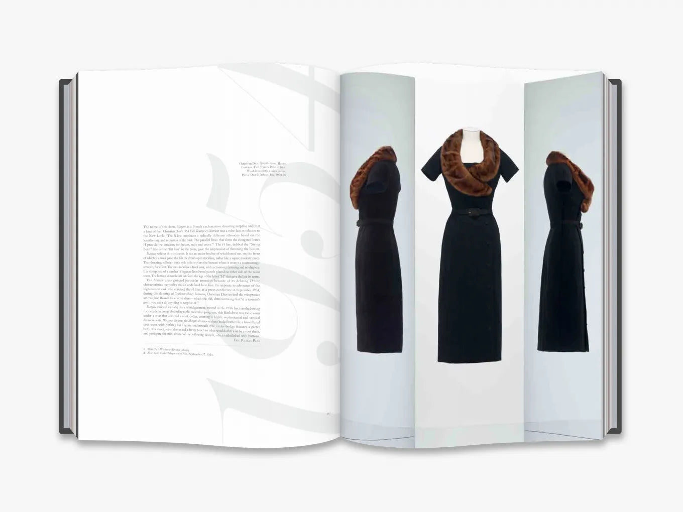 THAMES & HUDSON Christian Dior Designer of Dreams