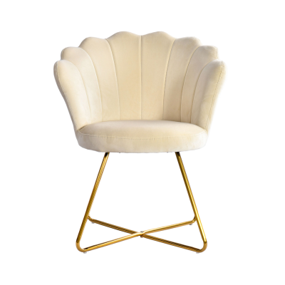 Ariel Shell Back Chair Cream with Gold Legs