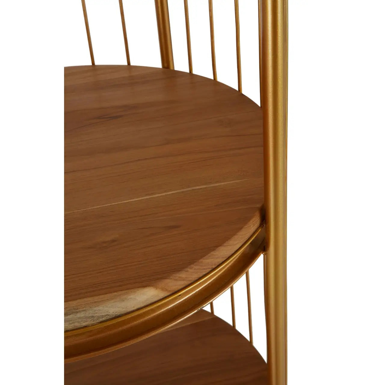 Mantis Medium Gold Finish Birdcage Shelf Unit