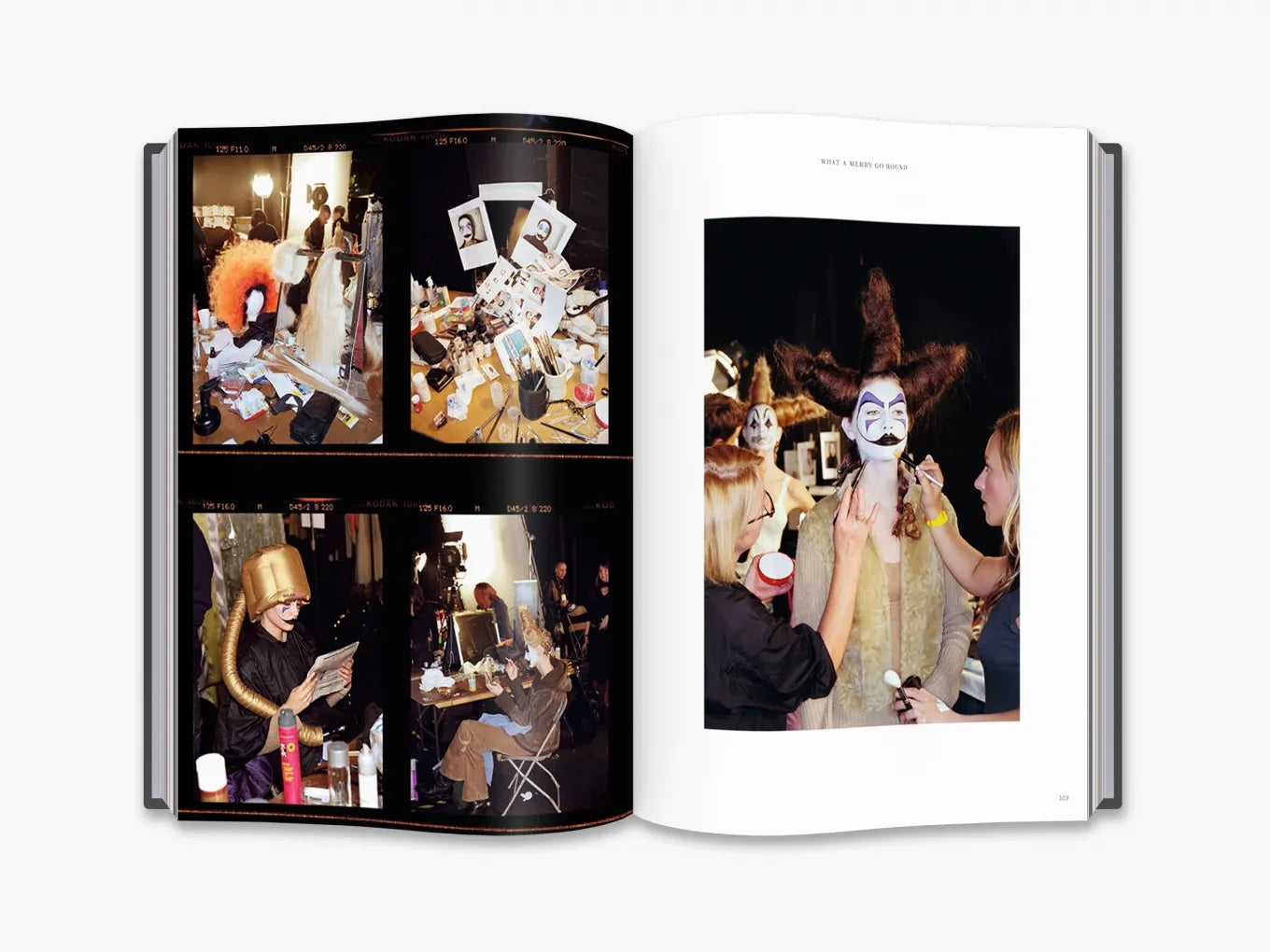 THAMES & HUDSON Alexander McQueen: Unseen